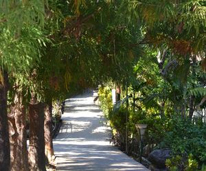 MAWLYNNONG VILLAGE: Asia's Cleanest Village